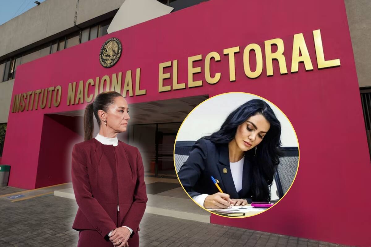 Polémica agrupación ligada a Morena busca convertirse en un partido político y ya presentaron solicitud al INE: ¿Qué se sabe de “Que Siga la Democracia”?