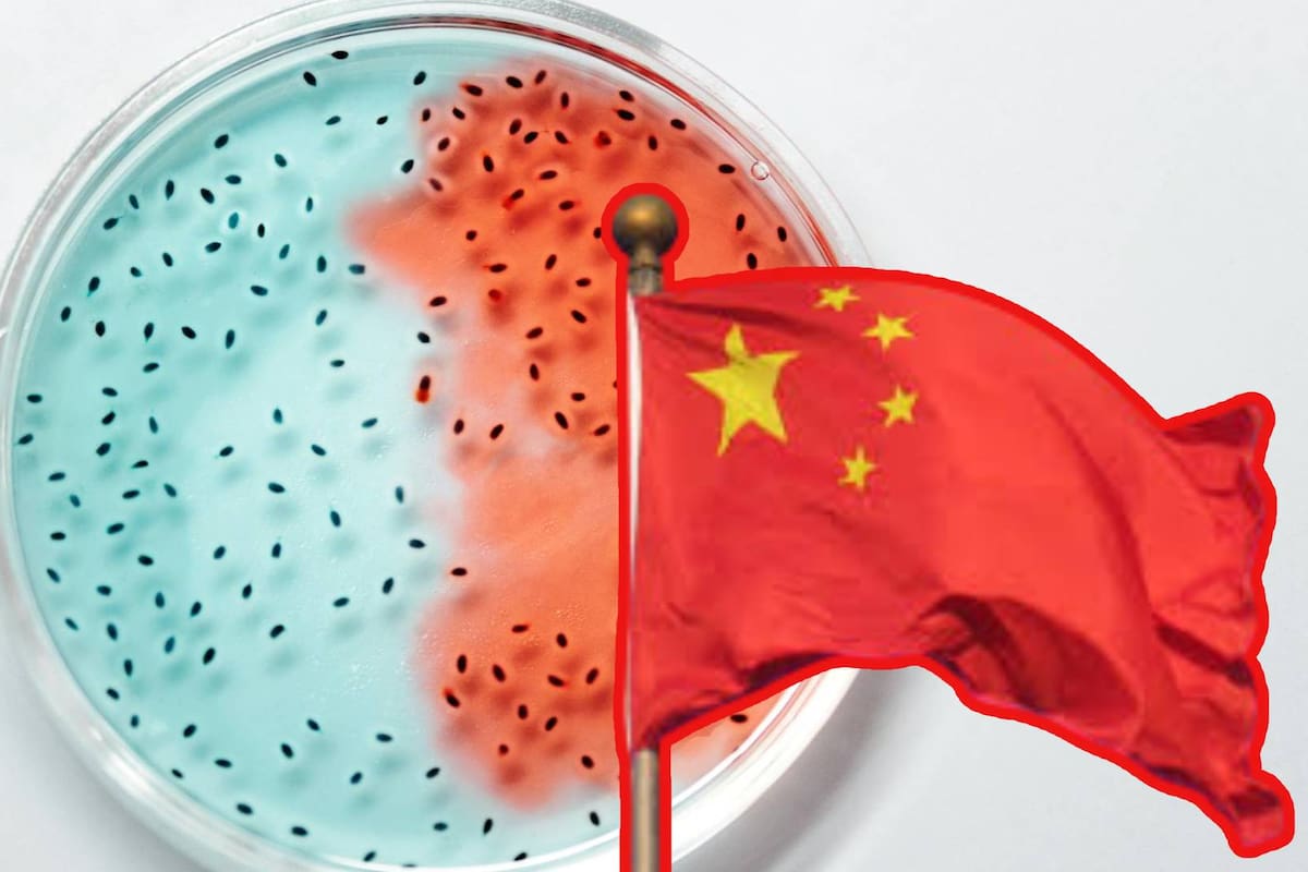 Acusan a pareja china de contrabandear hongo con potencial uso agroterrorista en EEUU