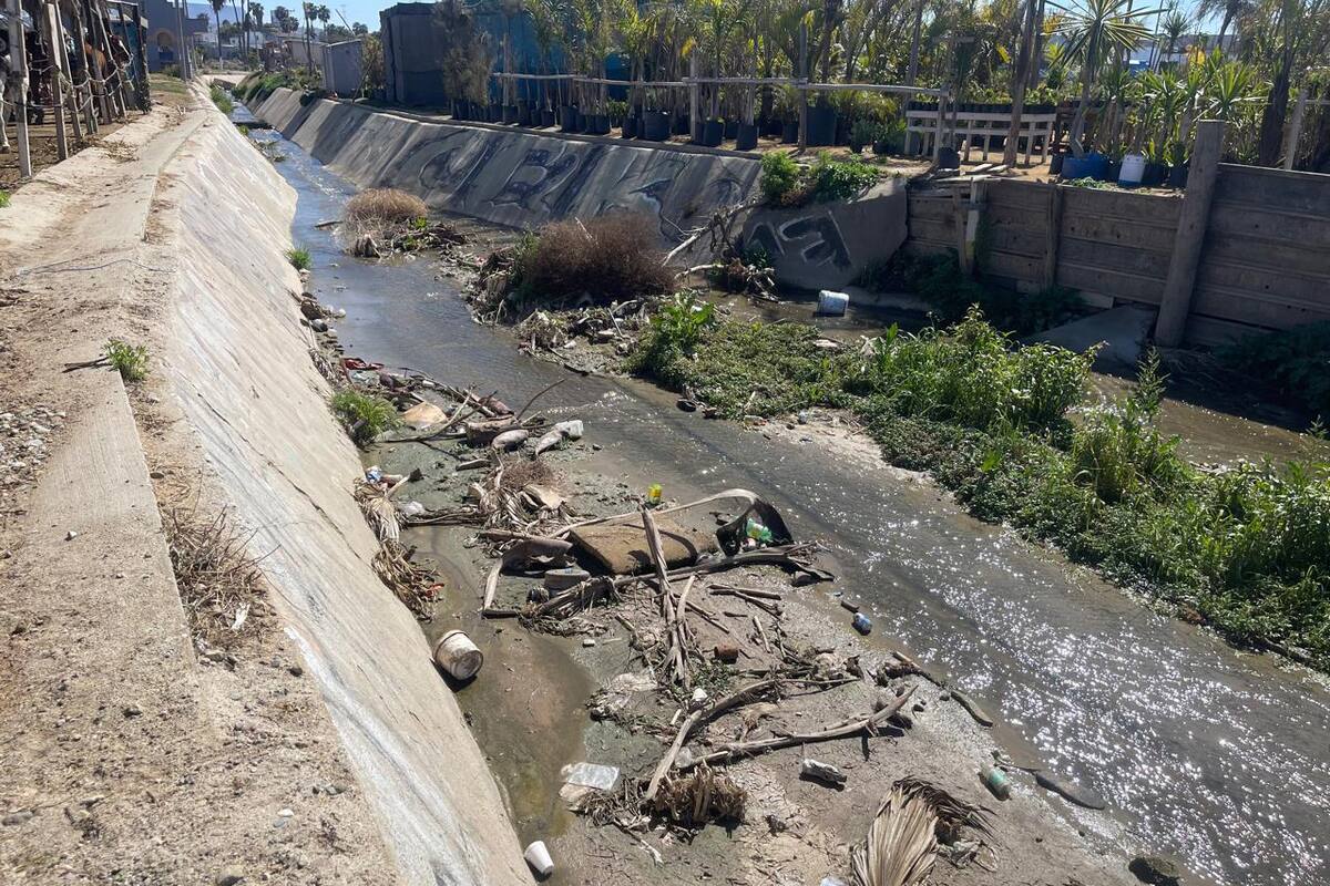 Basura en arroyo Huahuatay de Rosarito amenaza con provocar inundaciones