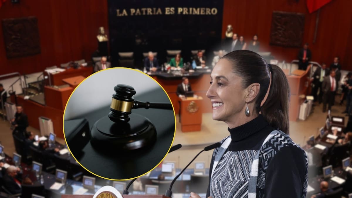 Sheinbaum alista reforma para garantizar el salario mínimo a funcionarios públicos antes del arranque del periodo legislativo del 1 de febrero, mientras el Senado define agenda y empuja la reforma electoral