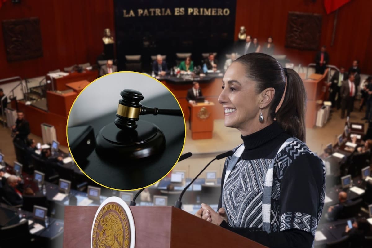 Sheinbaum alista reforma para garantizar el salario mínimo a funcionarios públicos antes del arranque del periodo legislativo del 1 de febrero, mientras el Senado define agenda y empuja la reforma electoral