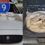 Agente canino de la Patrulla Fronteriza descubre 15 kilos de metanfetamina ocultos en un auto Jaguar en Arizona