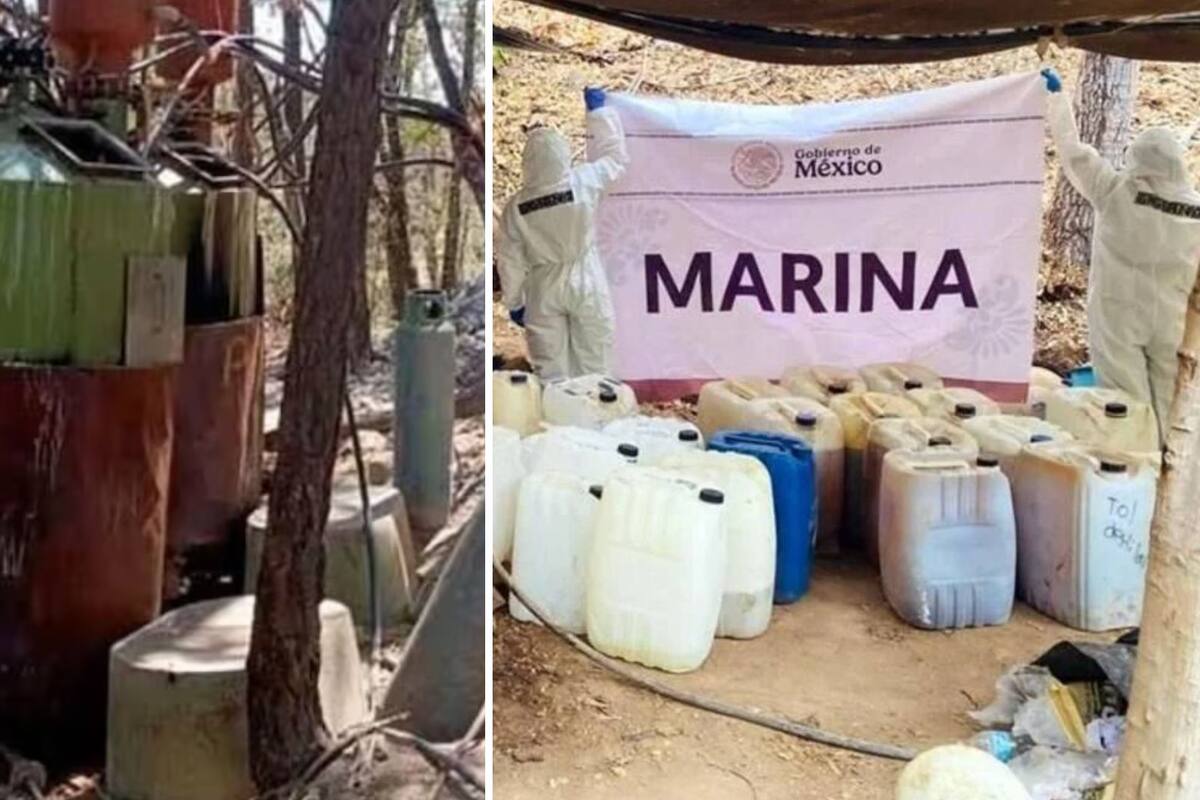 Más de 144 toneladas de droga aseguradas en México desde el inicio del sexenio