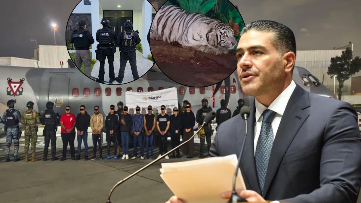 Omar García Harfuch reporta 20 detenidos vinculados al CJNG tras operativos en Hidalgo, Jalisco y Michoacán, donde aseguraron 113 vehículos, armas de fuego, droga, tigres y panteras