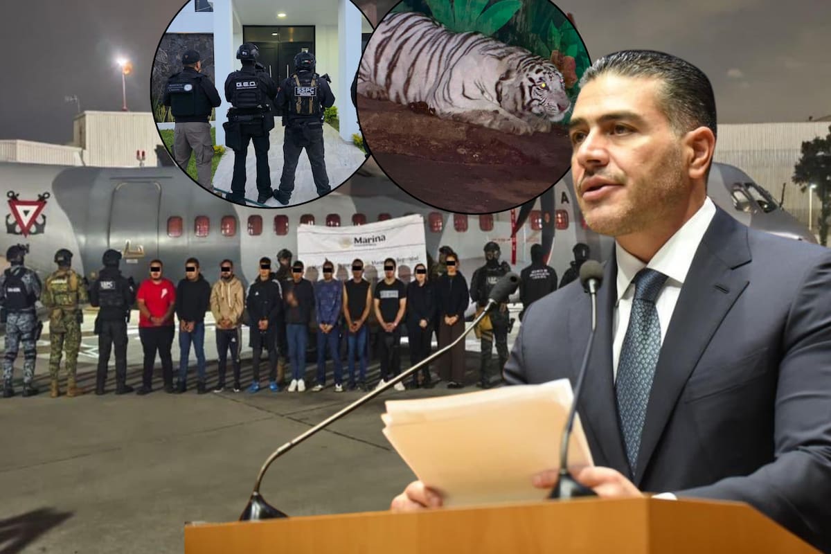 Omar García Harfuch reporta 20 detenidos vinculados al CJNG tras operativos en Hidalgo, Jalisco y Michoacán, donde aseguraron 113 vehículos, armas de fuego, droga, tigres y panteras