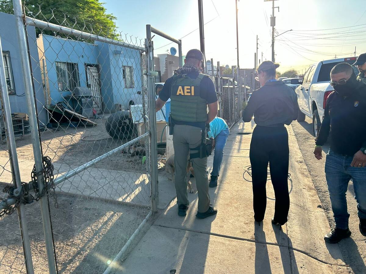 Al lugar llegaron un agente y un auxiliar del Ministerio Público, acompañados por elementos de la Agencia Estatal de Investigación (AEI) y personal de Control Animal I Foto: Cortesía