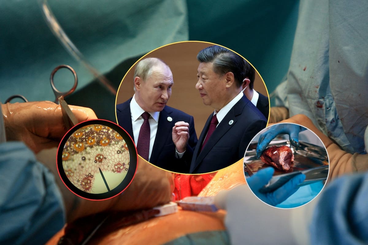 Filtran audio de conversación entre Putin y Xi Jinping donde discuten cómo hacerse inmortales con trasplantes de órganos