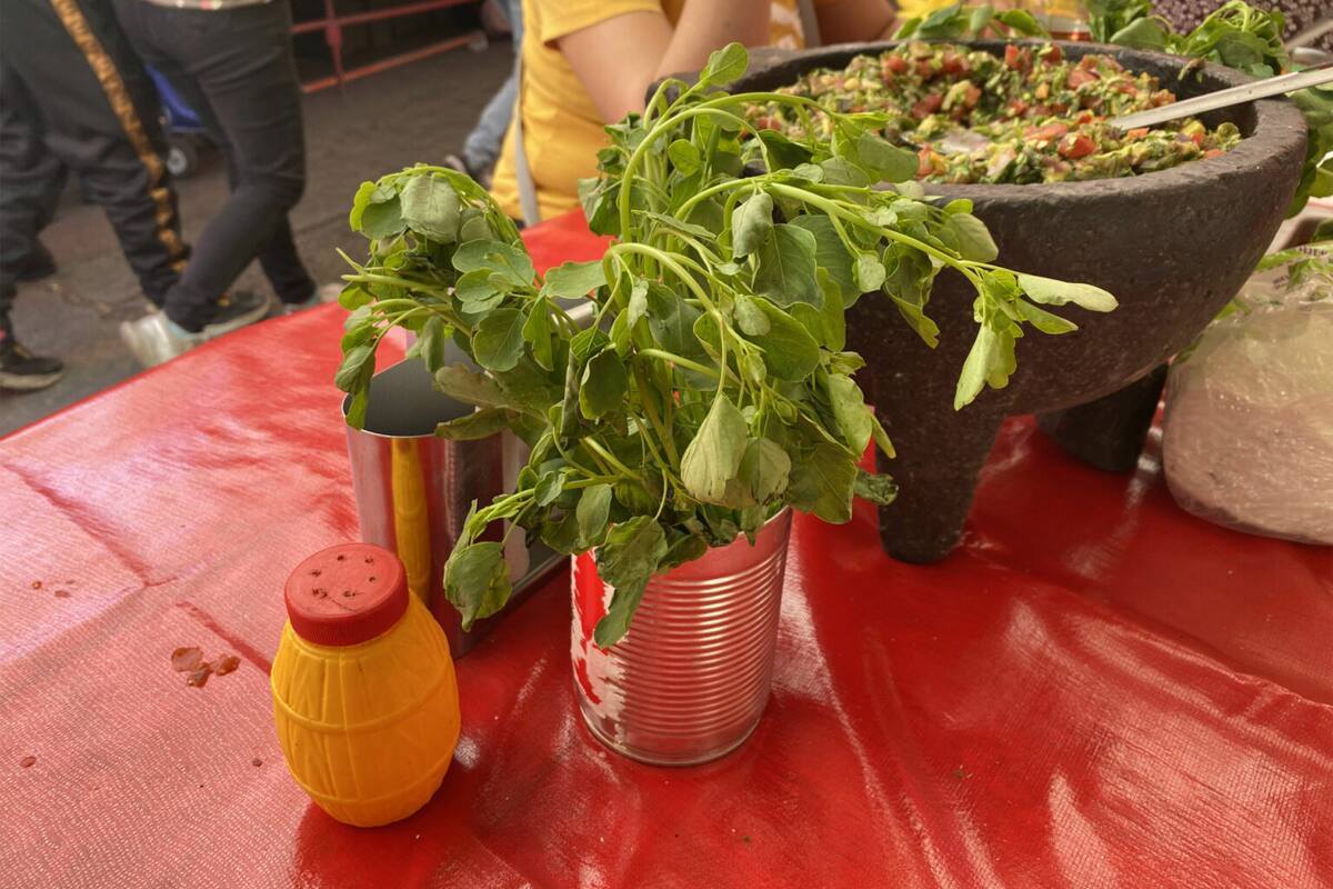 ¿Qué es el pápalo? El ingrediente secreto de la cocina mexicana
