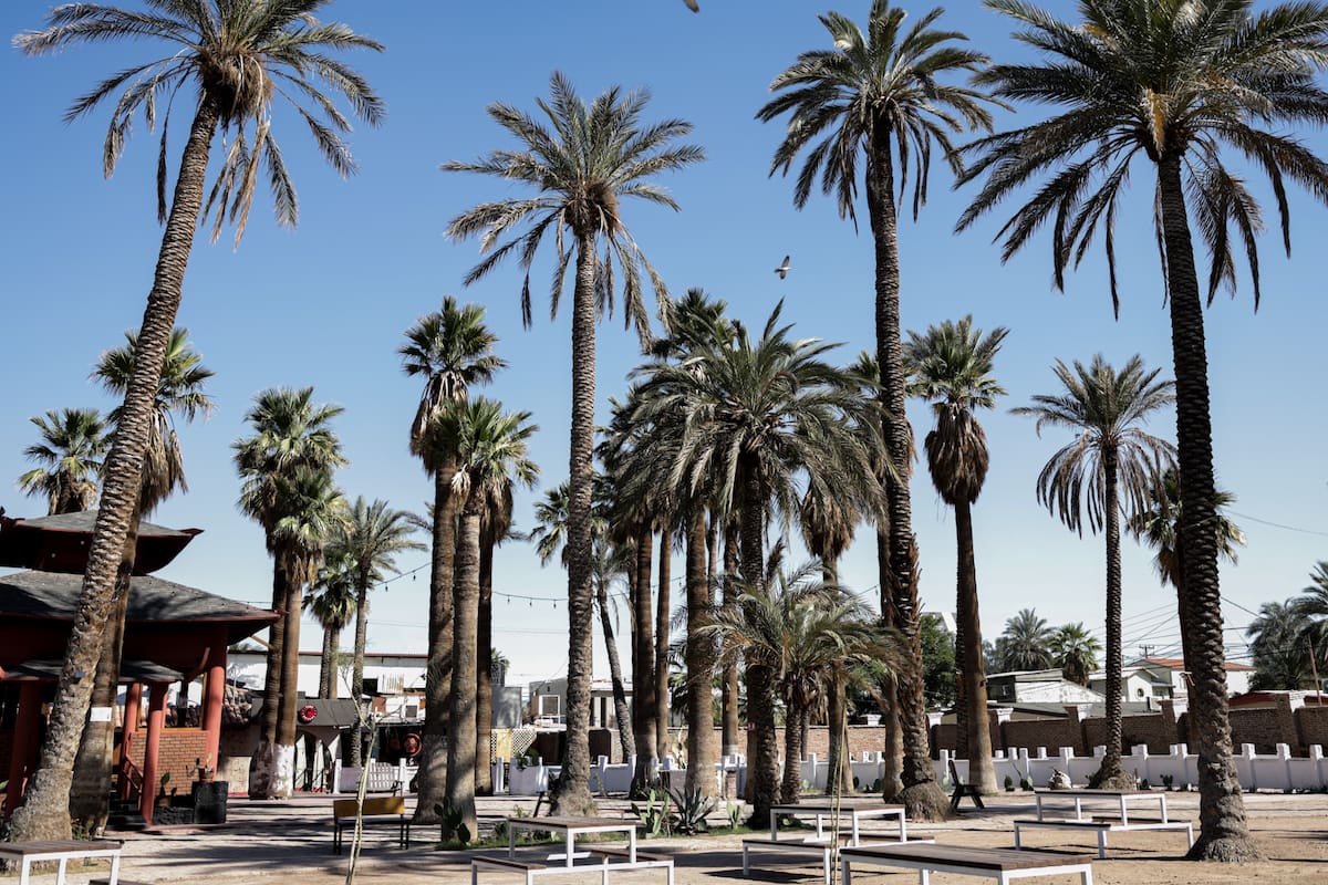 Clima en Mexicali hoy: día templado con viento y posibilidad de lluvia ligera por la noche