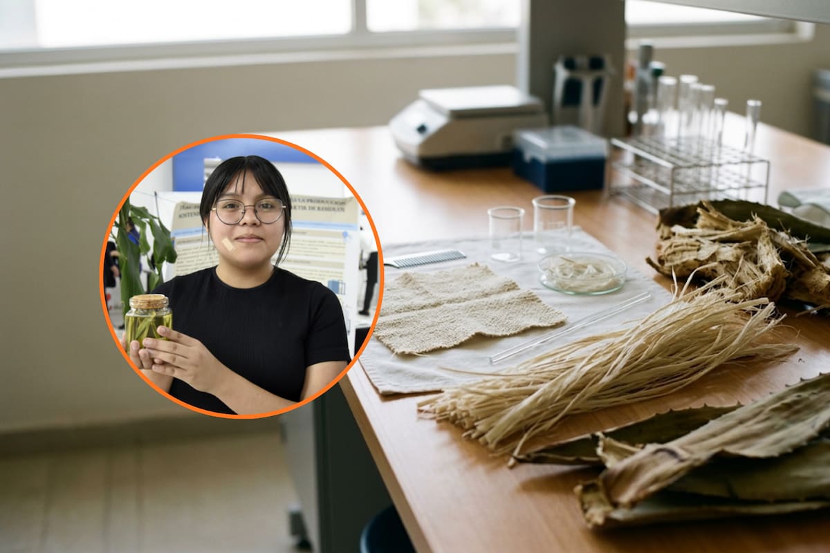 Estudiante mexicana desarrolla un método para convertir agave en fibras naturales que podrían utilizarse en la industria textil, automotriz, construcción y salud