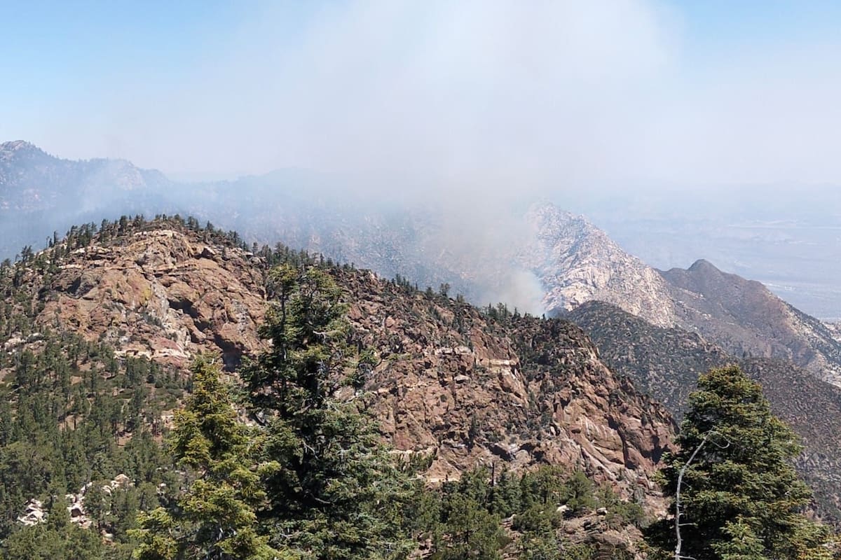 Bomberos controlan incendio de la Sierra de Juárez y se trasladan a San Pedro Mártir