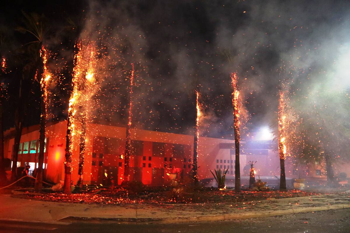 Capturan al presunto responsable de incendiar palmeras en la Unison