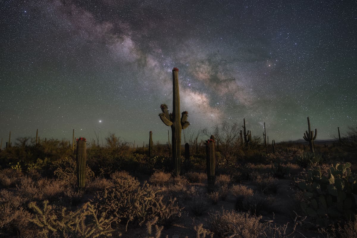 Un espectáculo bajo las estrellas