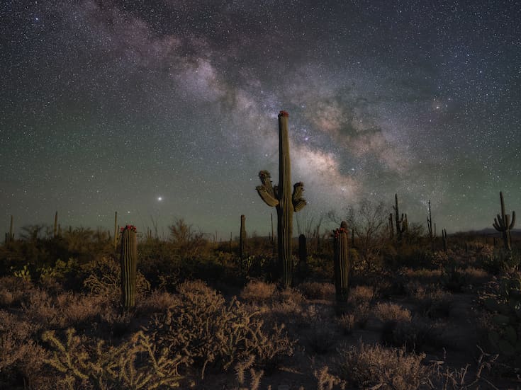 Un espectáculo bajo las estrellas