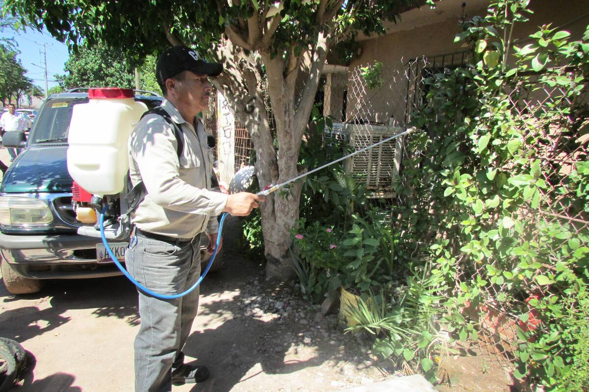 Buscan prevenir el dengue