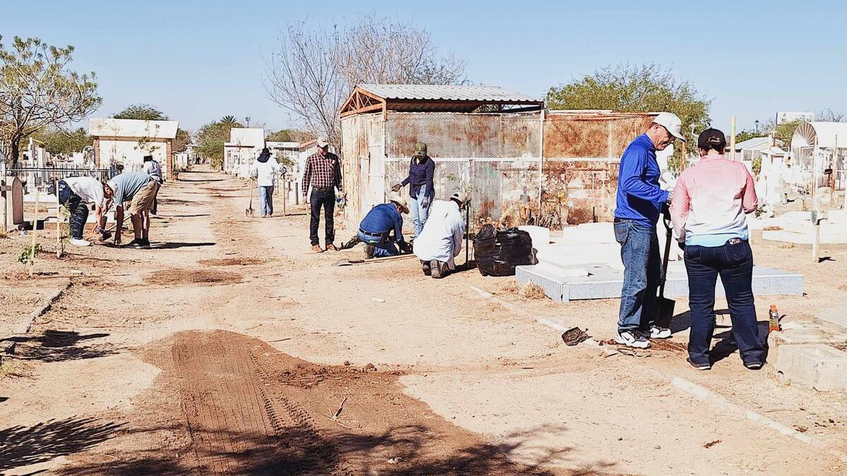 Caminantes del Desierto reforestan 500 árboles nativos