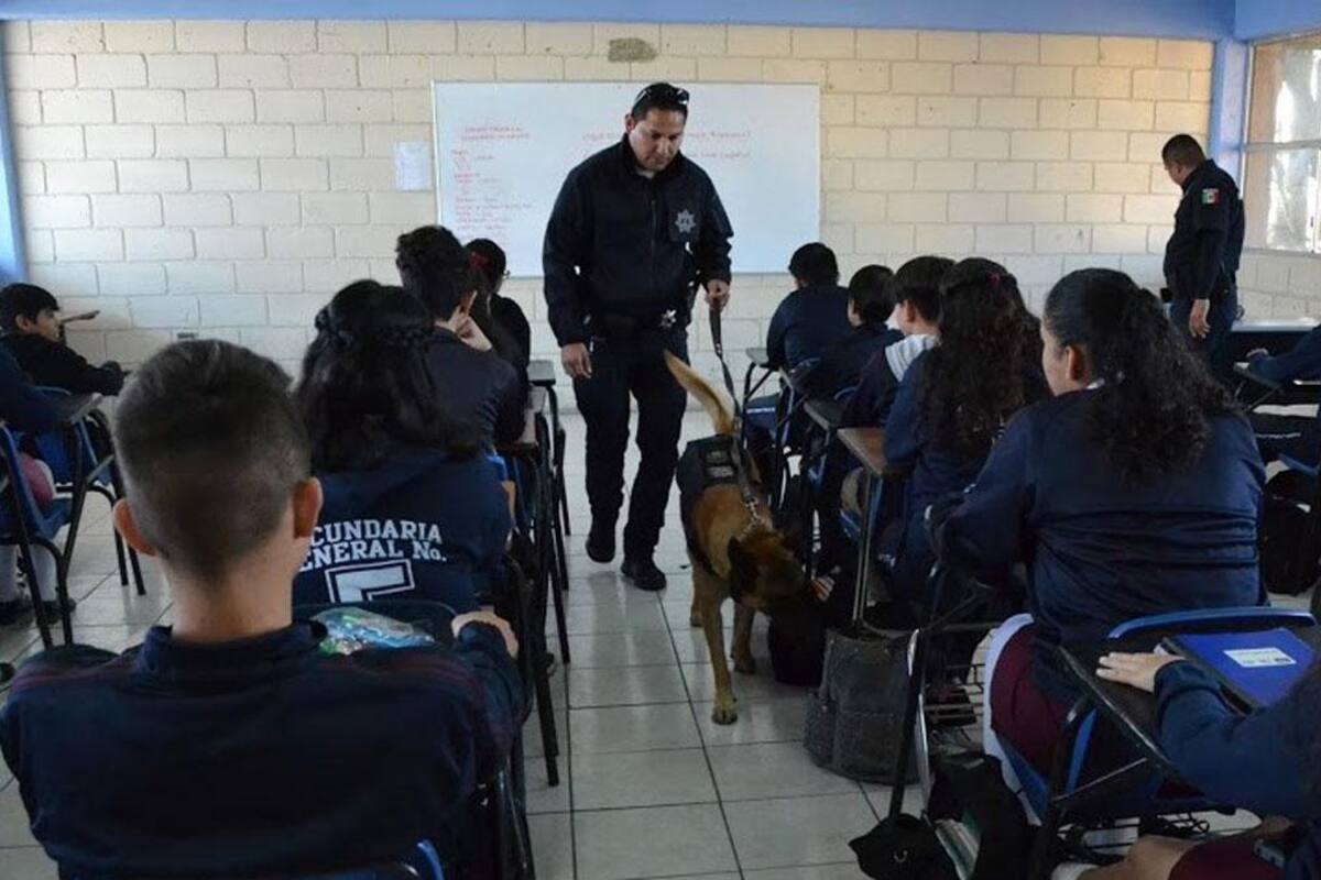 Planean reforzar operativo mochila