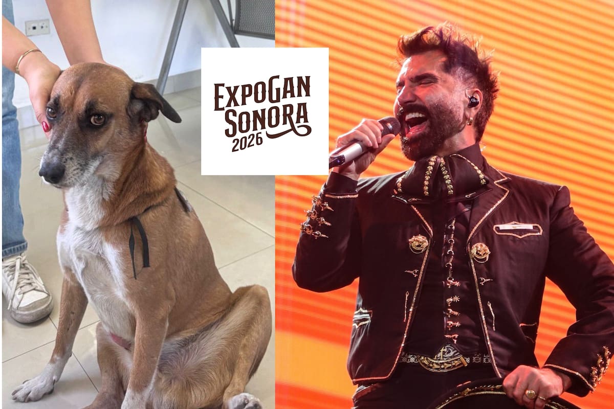 Hermanos rifan boletos para ver a Alejandro Fernández y ayudar a “Canelo”, un perro que necesita cirugía en Hermosillo