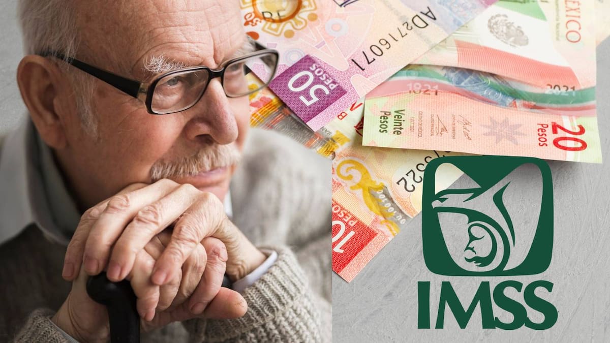 ¿Listo para jubilarte en 2026? Descubre las diferencias claves de la Ley 73 y la Ley 97 del IMSS