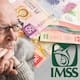 Cómo saber si tu pensión IMSS aumentará 15% en noviembre