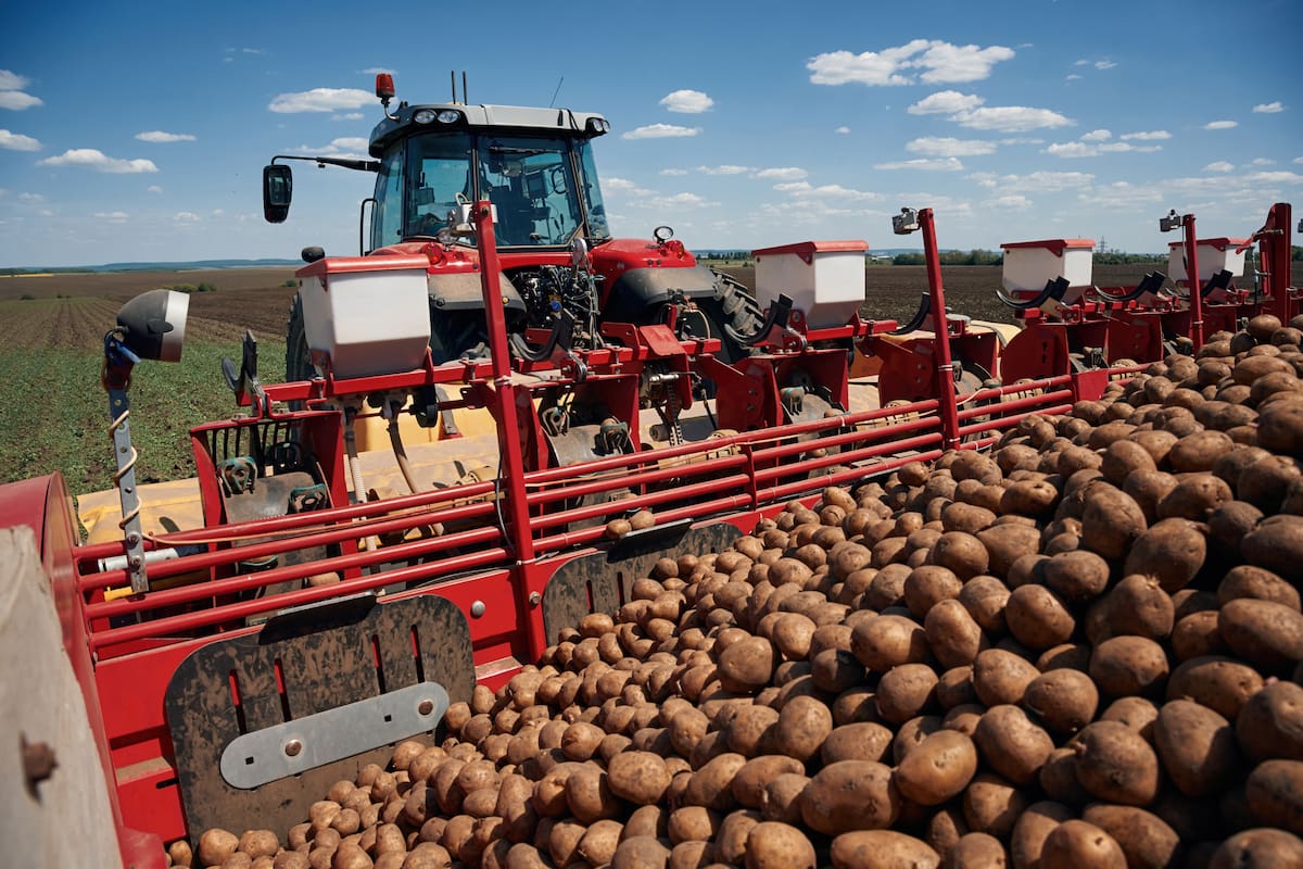 2026: el campo ajusta su ruta