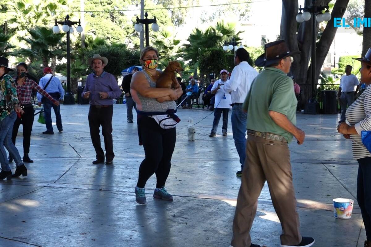 Actividades del Parque Teniente Guerrero