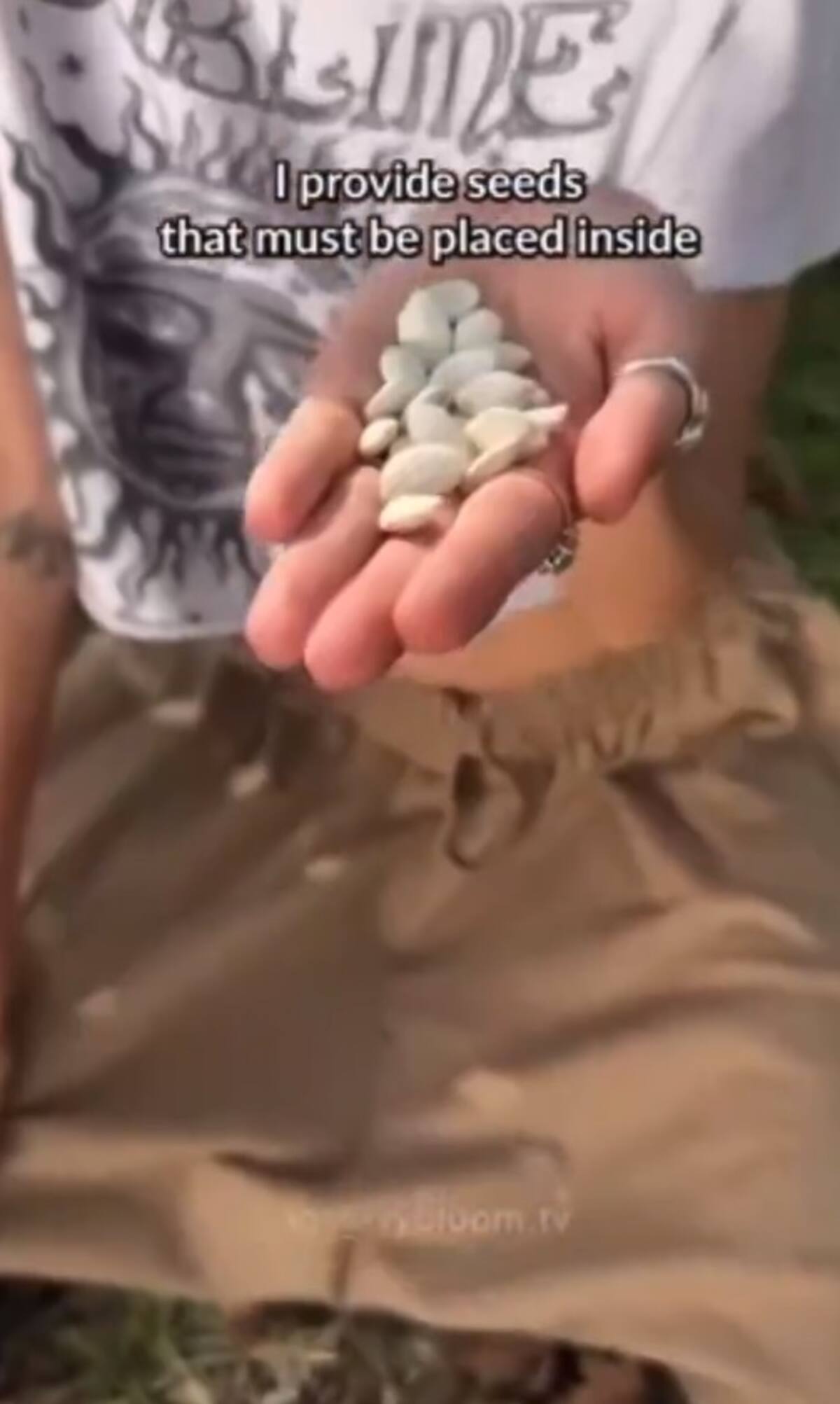 Semillas que Ivy les da a sus invitados.