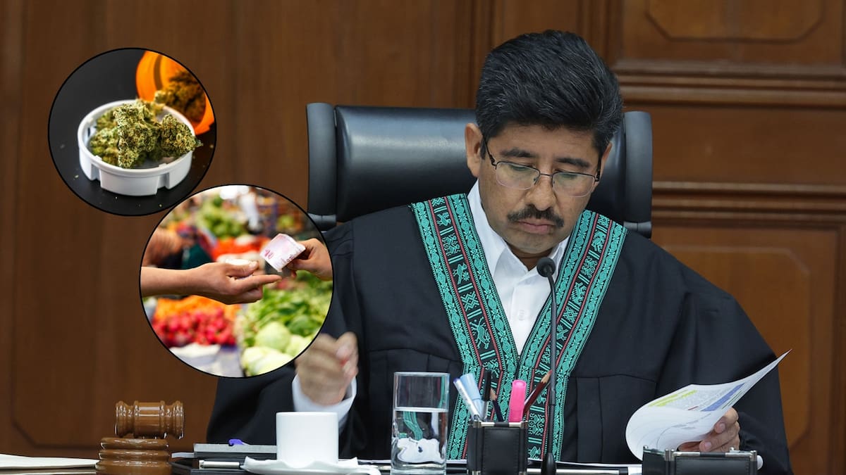 Ya es oficial: la Suprema Corte determinó que la ley puede definir la compra de droga como “comercio” en casos de narcomenudeo pero aclaró que esto no significa castigar en automático a los consumidores para evitar que se les trate como delincuentes por la sola definición legal
