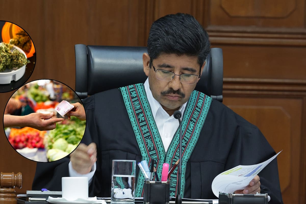 Ya es oficial: la Suprema Corte determinó que la ley puede definir la compra de droga como “comercio” en casos de narcomenudeo pero aclaró que esto no significa castigar en automático a los consumidores para evitar que se les trate como delincuentes por la sola definición legal