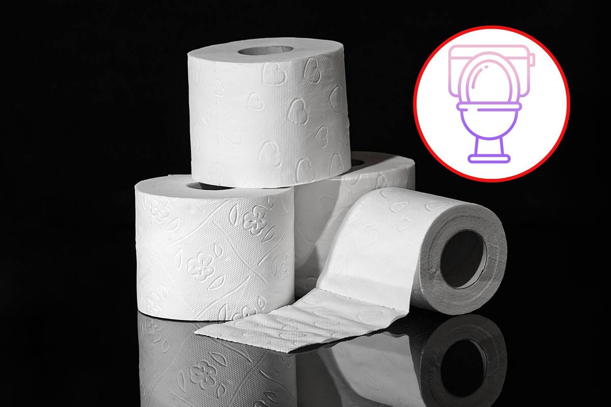 ¿Por qué no debes tirar el papel de baño en el bote? Esto dice la UNAM