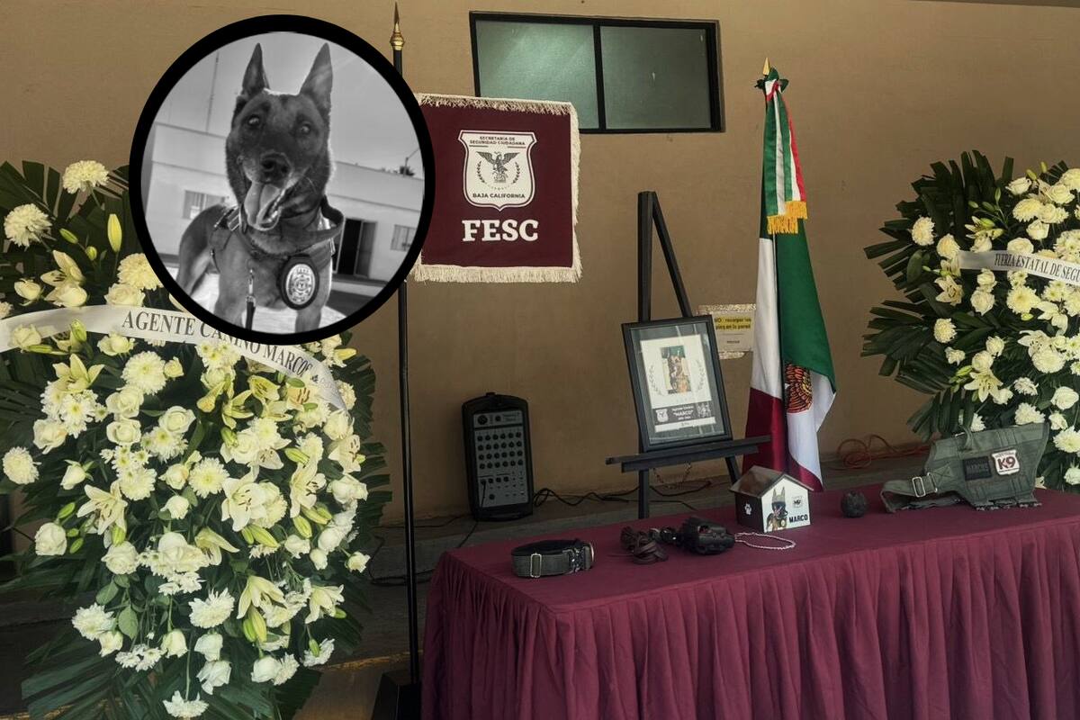 Despide con honores al agente canino “MARCO”