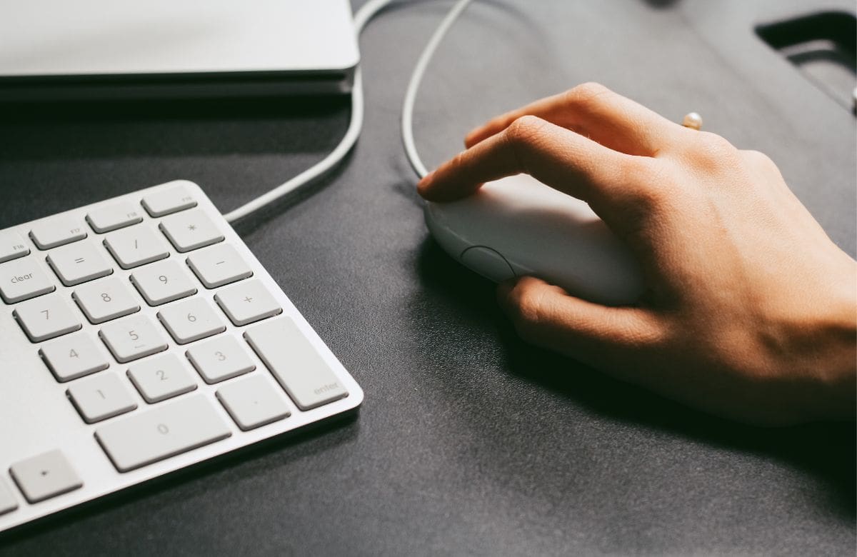 5 formas de reutilizar un mouse viejo en casa | Foto: Especial (canva)