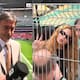 Reportero abandona transmisión en vivo para corretear a Shakira y pedirle una foto ‘’pal insta’'