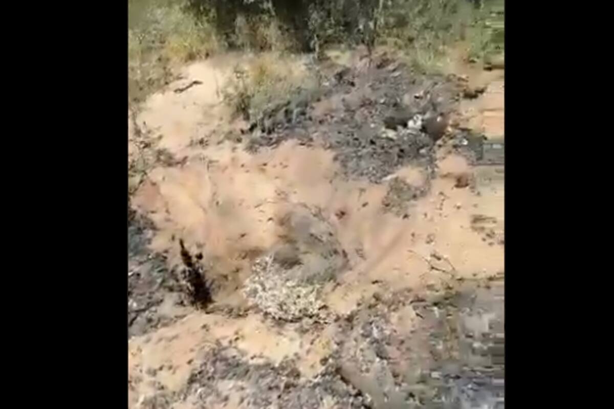 Hallan buscadoras varias fosas con restos humanos en Hermosillo