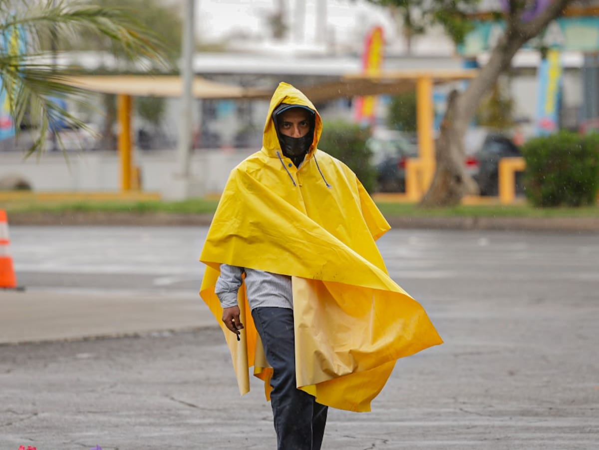 El evento de “Norte” continuará afectando el Golfo de México, el Istmo y el Golfo de Tehuantepec, con rachas capaces de provocar caída de árboles, anuncios publicitarios y afectaciones a la navegación marítima.