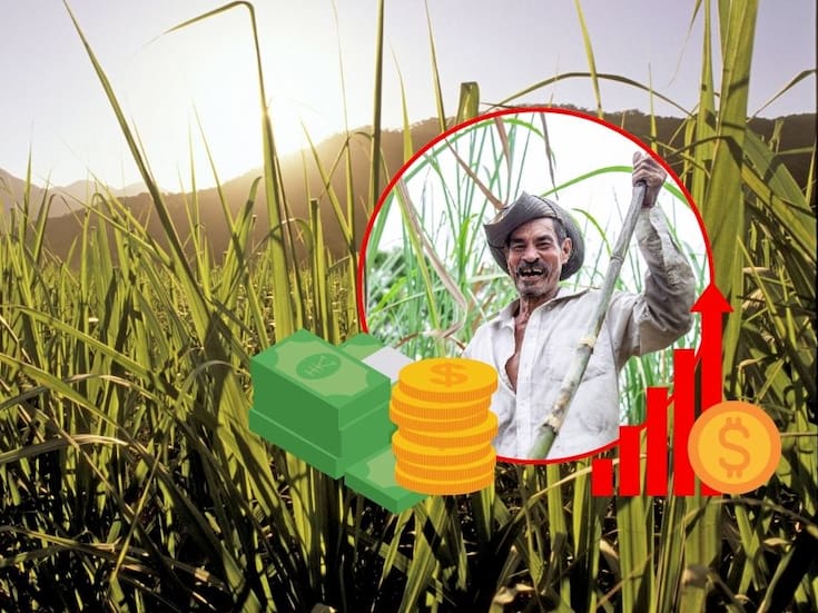 ¿Por qué México ha implementado un arancel del 156% al azúcar? Las razones detrás de la nueva medida comercial del gobierno