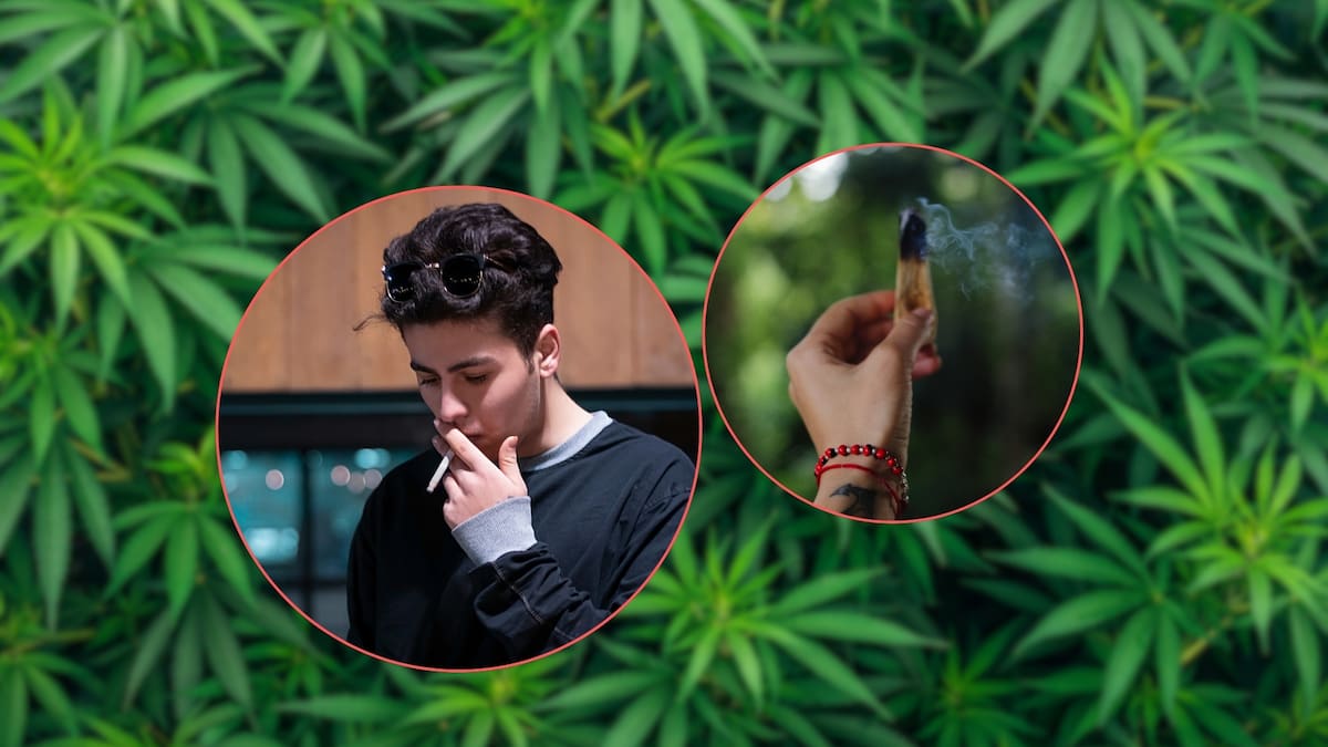¿Es posible ser "adicto" a la marihuana? La respuesta de la ciencia frente al estigma.