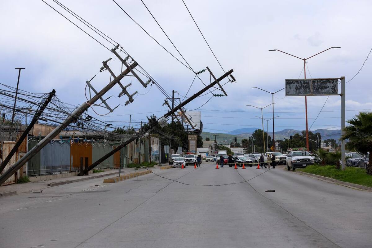 Vientos tiran postes de luz y teléfono