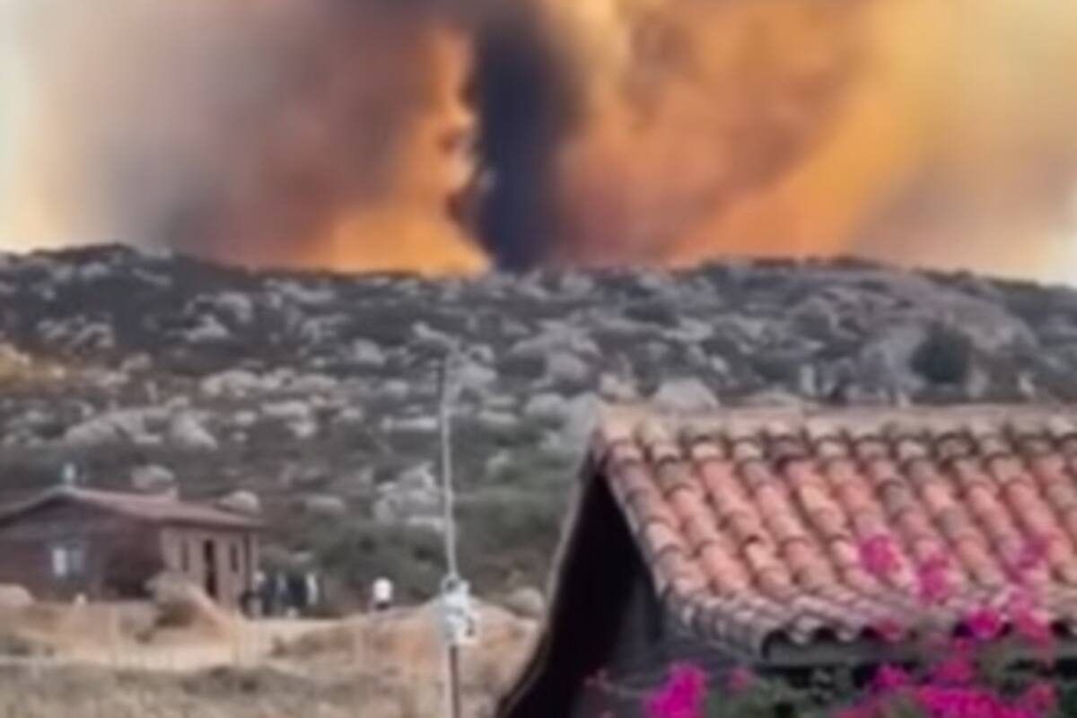 Registran incendio forestal en Tecate