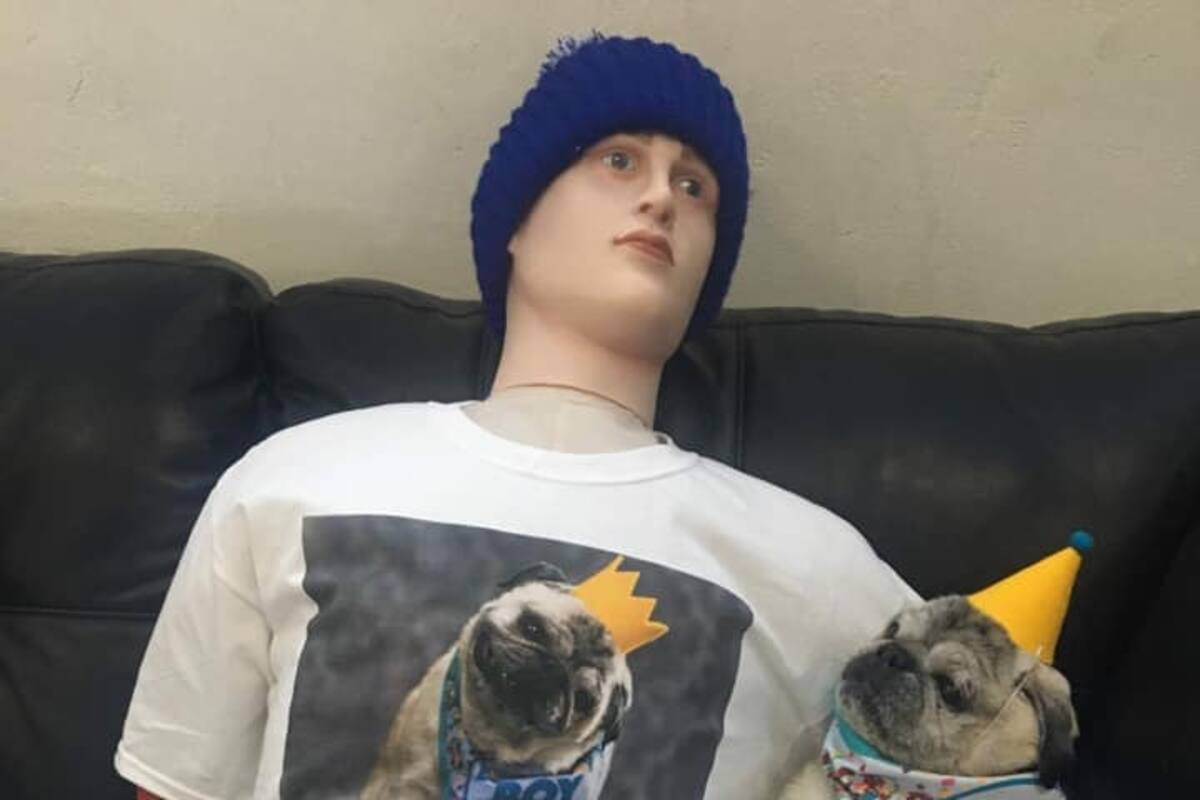 Maniquí suplanta amo de pug para quitarle la tristeza