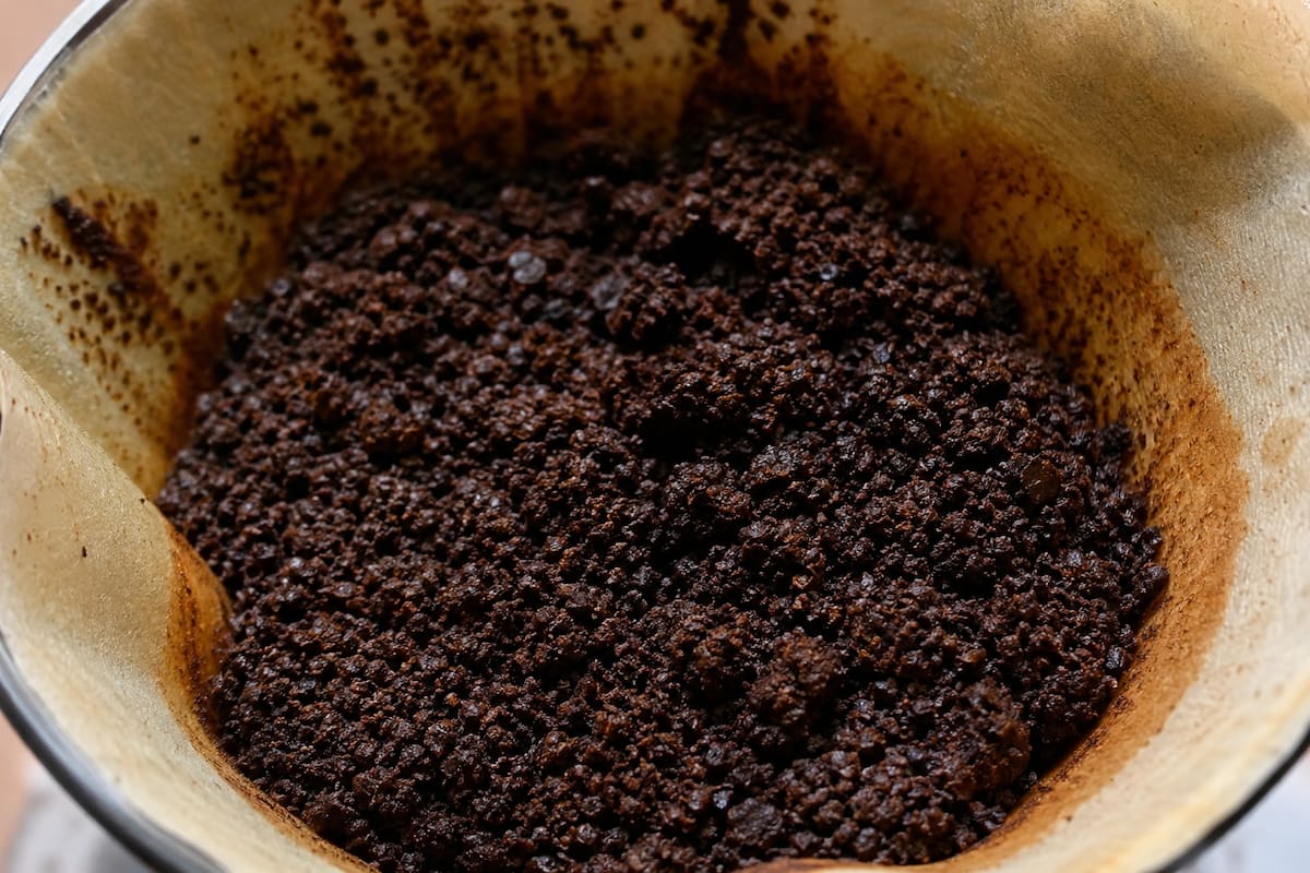 Los posos de café pueden ser un gran aliado en tu hogar. | Crédito: IA de ChatGPT