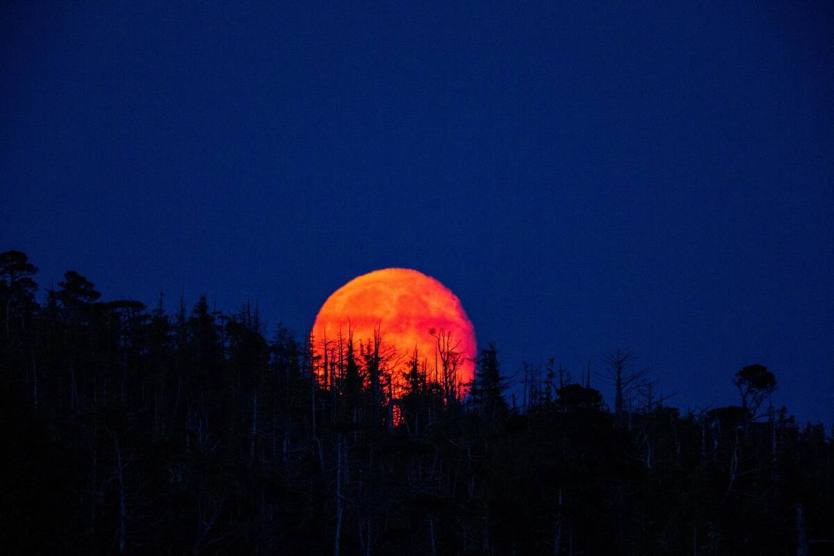 Eclipse total de Luna (Luna de sangre)