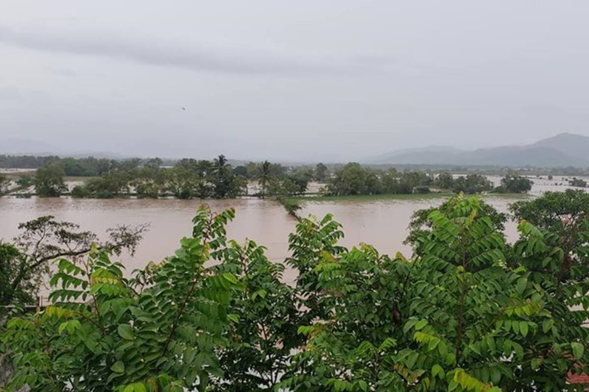 Reses son arrastradas por creciente del río "Conchal" en Nayarit