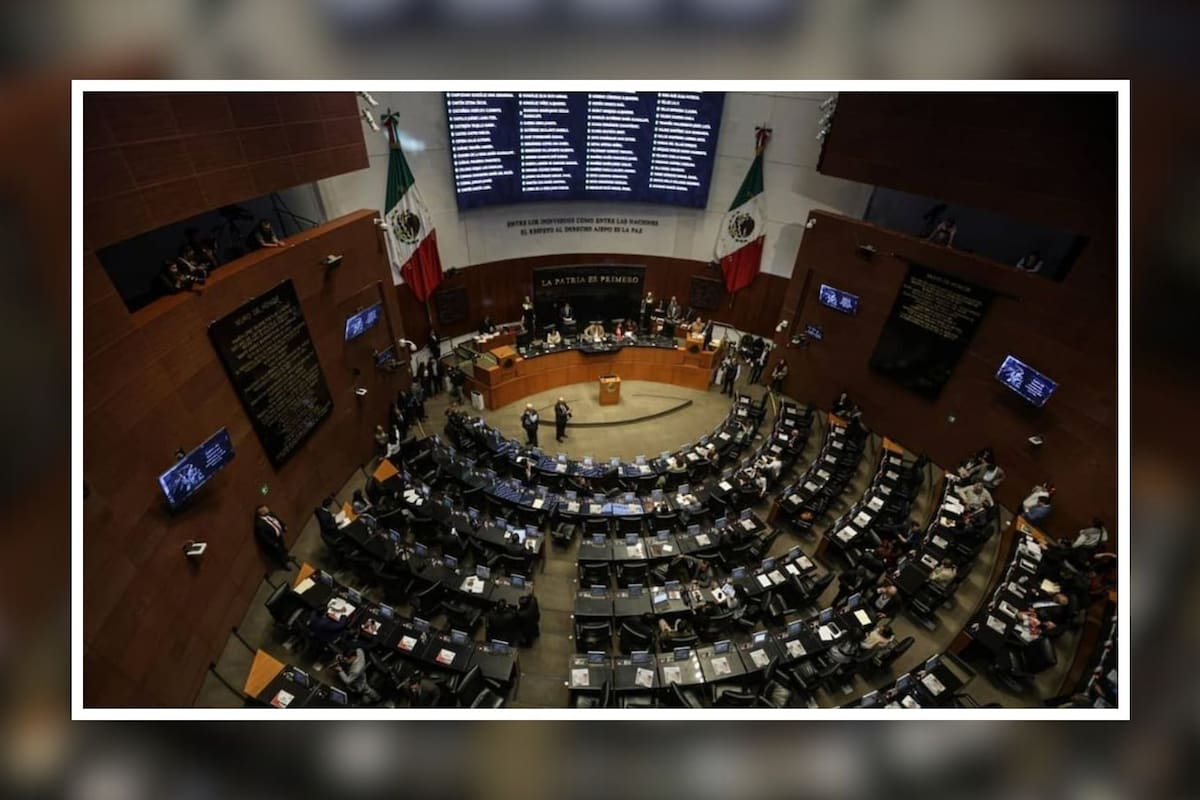 Senado aprueba leyes clave para la protección de las mujeres, la igualdad de género y salarial