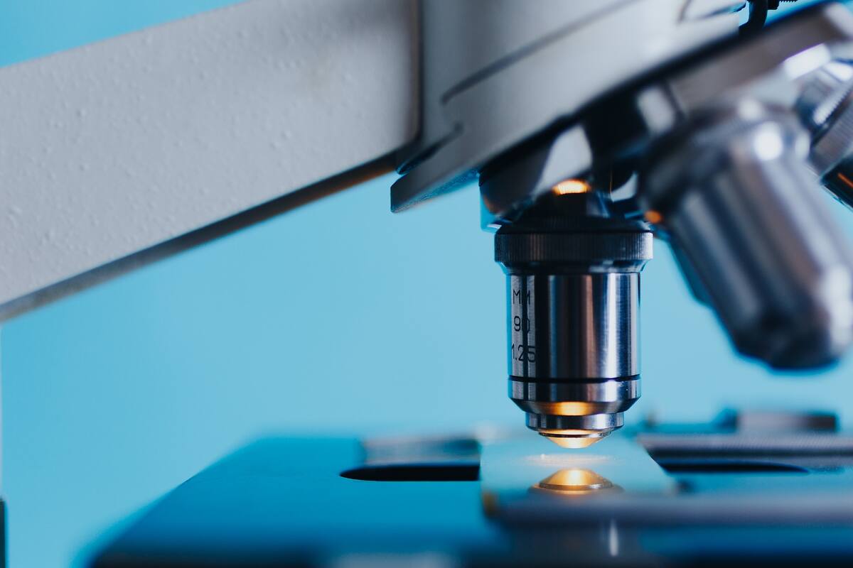 Qué es Alaskapox, la posible nueva cepa de ortopoxvirus, y que fue diagnosticado a una mujer