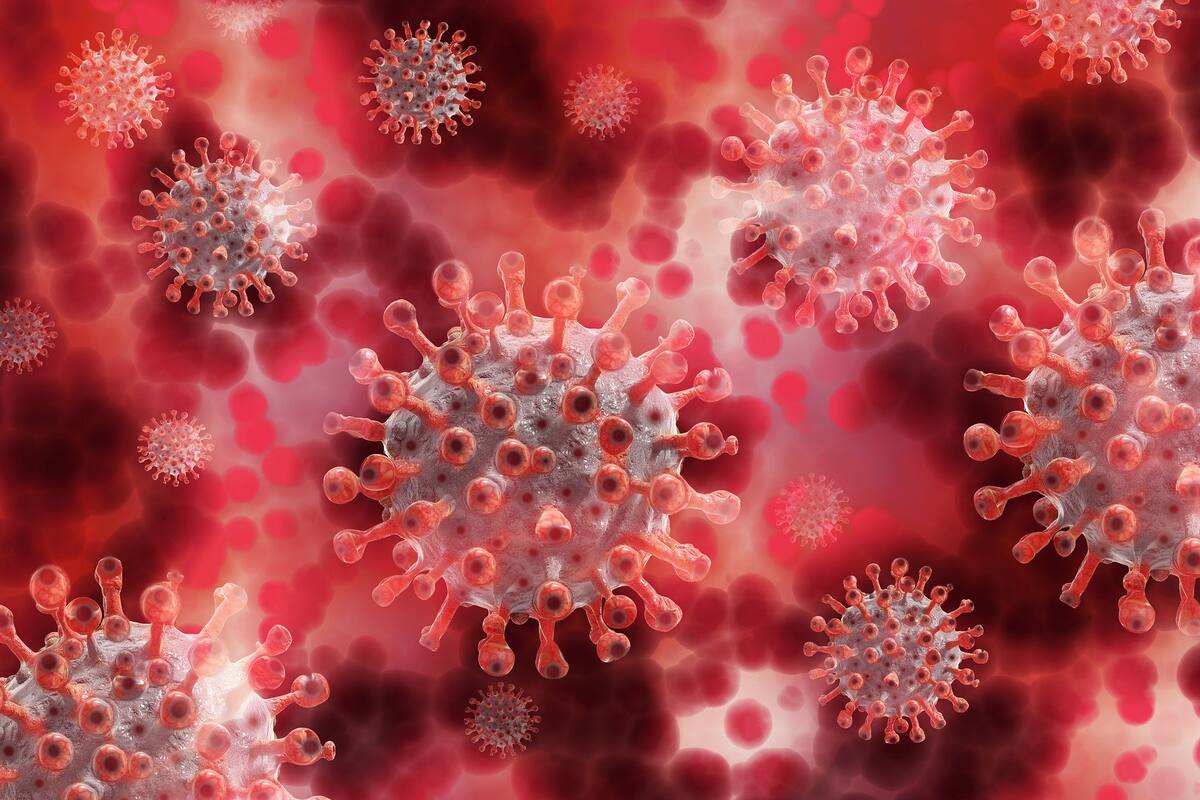 Evolución del coronavirus: Cómo el SARS-CoV-2 se comporta más como si fuera una enfermedad de transmisión sexual