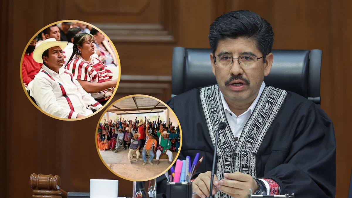Es Oficial: la Suprema Corte falló a favor de los pueblos originarios y determinó que un juez no puede rechazar su representación colectiva sin analizar primero cómo se organizan internamente, en el caso de la ley que prohíbe corridas de toros en la CDMX