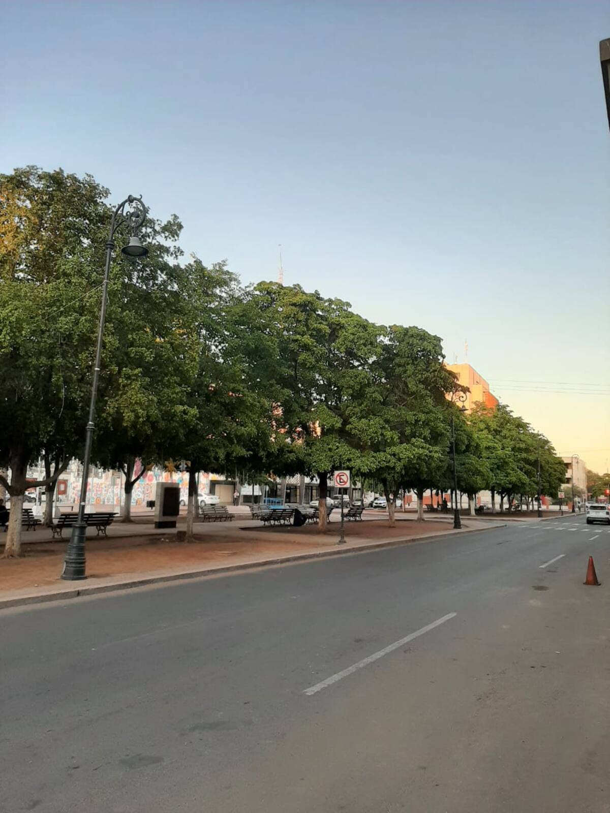 Los árboles cerca de las bancas proporcionan sombra y descanso a los habitantes que gustan de caminar por la ciudad. / Imagen por Gabriela Rivera P.