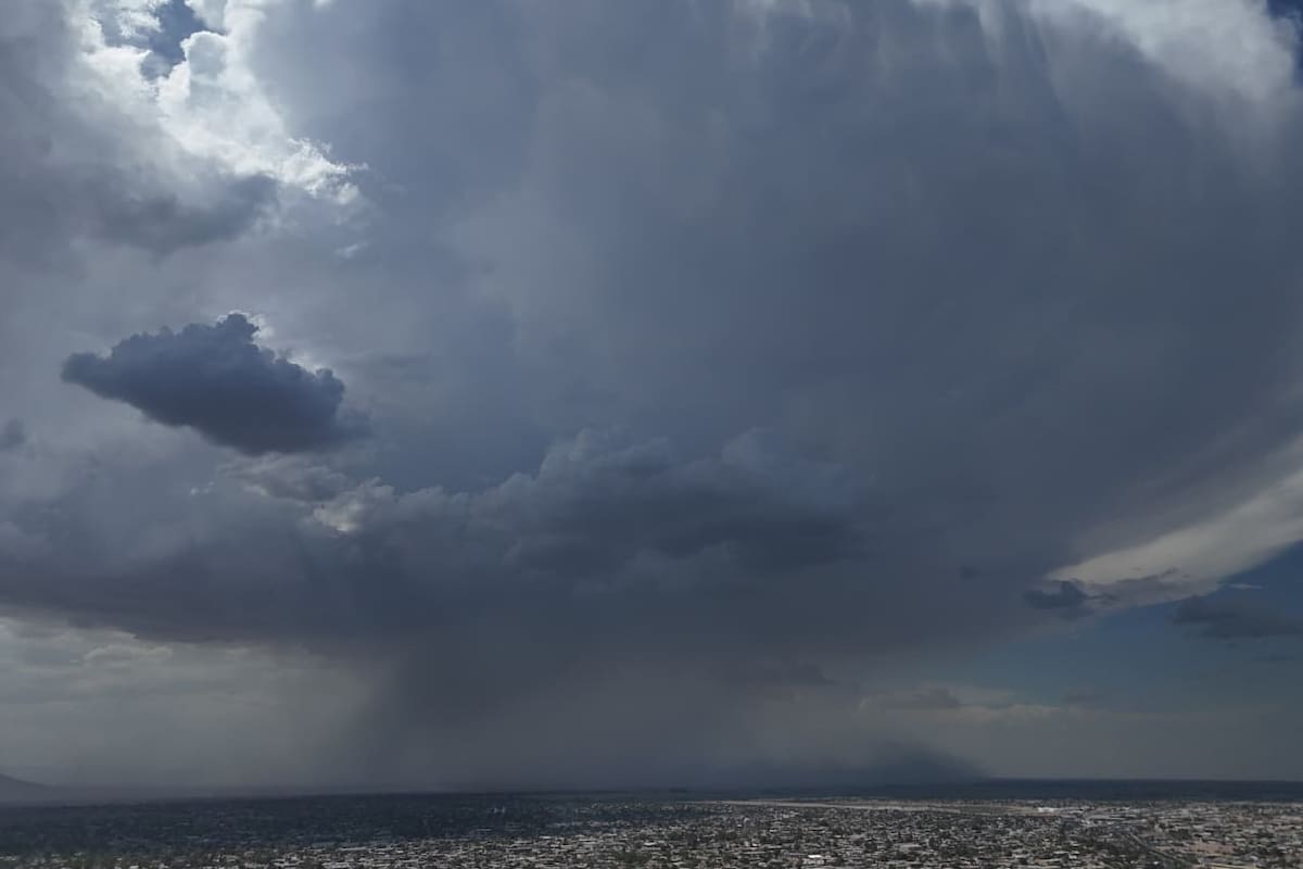 Fuertes vientos y lluvia provoca caída de postes y árboles en Mexicali