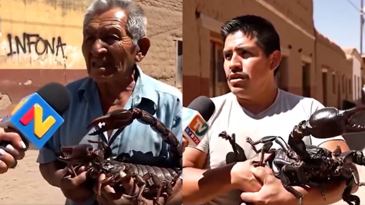 ¿De dónde salió el video de los alacranes como mascotas? La inteligencia artificial está logrando engañar a miles de personas